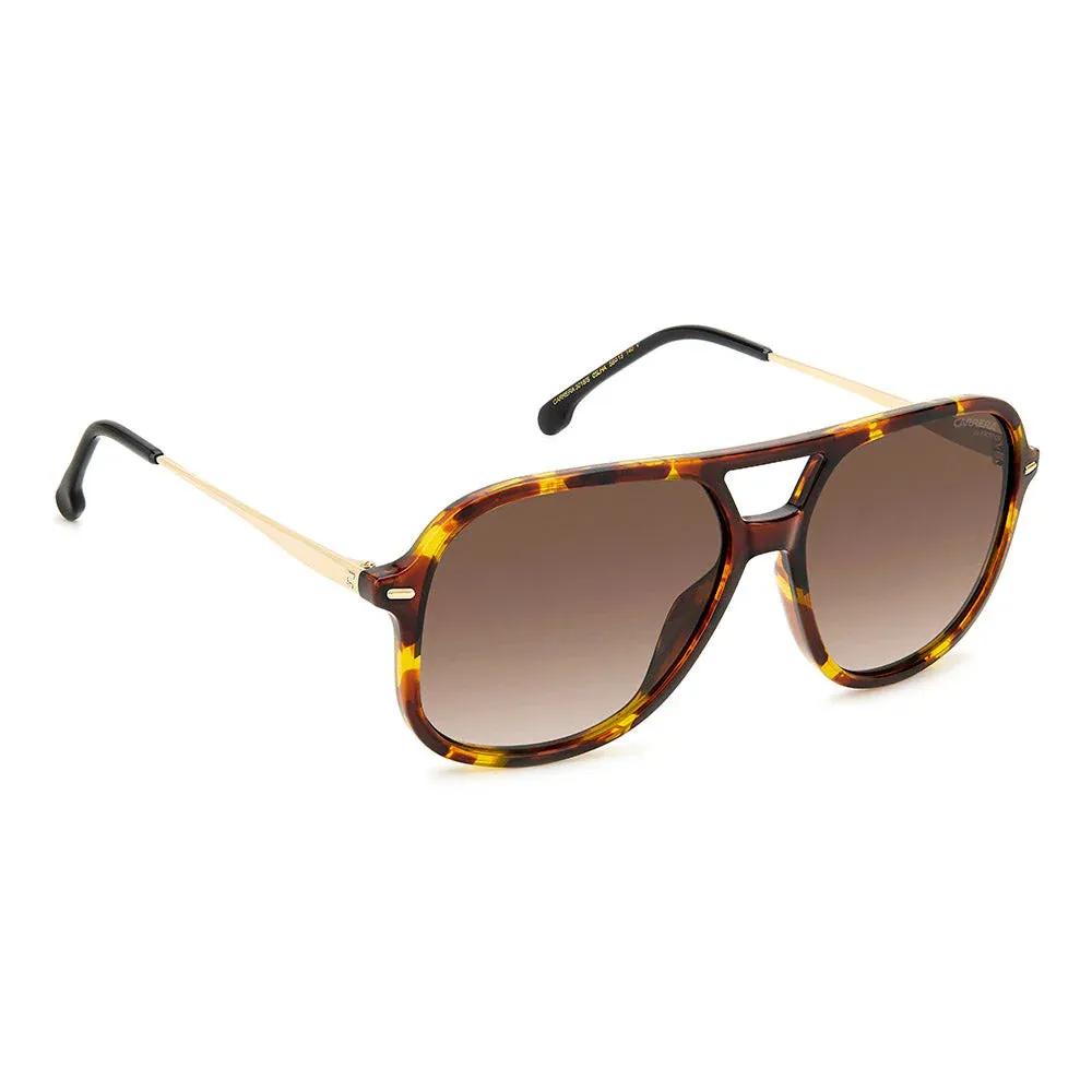 Carrera 3018 Havana Brown Aviator