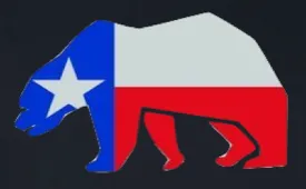 Texas Bear - Removable Patch